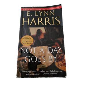 Not a day goes by - E. Lynn Harris - anchor books - isbn 038549825x
